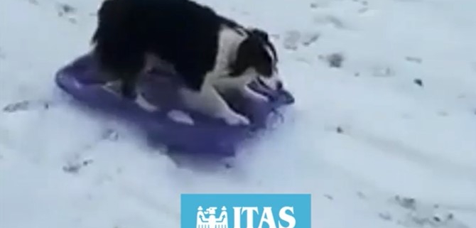 come divertirsi sicuramente sulla neve
