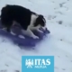 come divertirsi sicuramente sulla neve