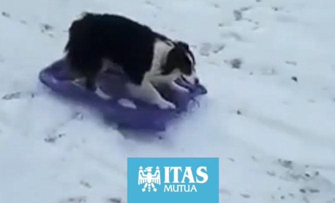 come divertirsi sicuramente sulla neve